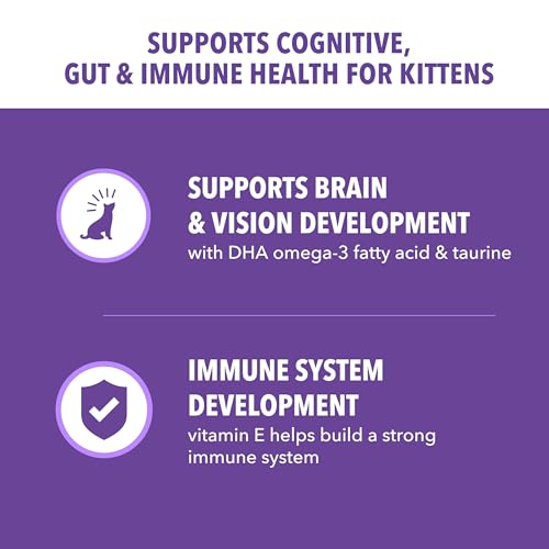 IAMS Proactive Health Kitten Dry Cat Food, Healthy Kitten Food Dry Recipe with Real Chicken in Every Bite, 7 lb. Bag