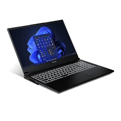 Amazon.co.jp: iiyama ゲーミングノートPC LEVEL INFINITY [15.6