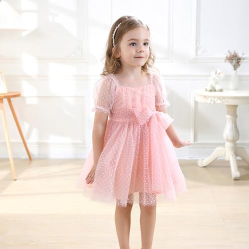 Toddler Girl Flower Gril Princess Dresses Dot Tulle Puff Sleeve Party Tutu Dress for Birthday2