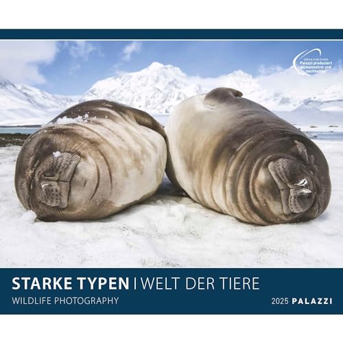PALAZZI - Starke Typen 2025 Wandkalender, 70x50cm, Posterkalender mit brillanten Aufnahmen von WIldtieren, wunderbare Porträts und Momentaufnahmen, ... Kalendarium: Wildlife Photography
