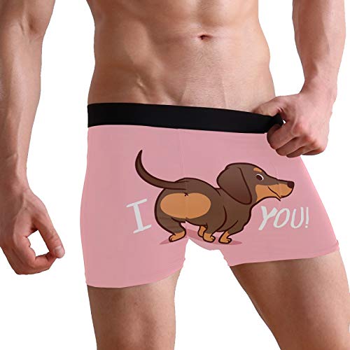 ZZKKO Cow Leopard Lion Mens Boxer Briefs Underwear Breathable Stretch Boxer Trunk with Pouch S-XXL4