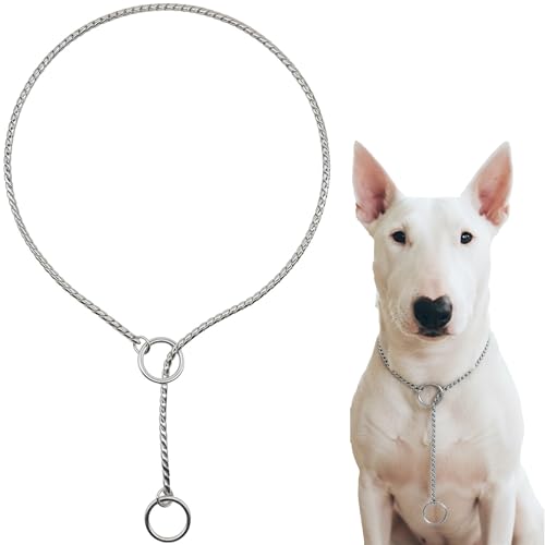 Dog P Snake Chain Chrome Plated Metal Dog Training Choke/Collar-Fully Guaranteed Against Rust Tarnish or Breakage-Recommended for Professional Training (Sliver, 5mm * 26")