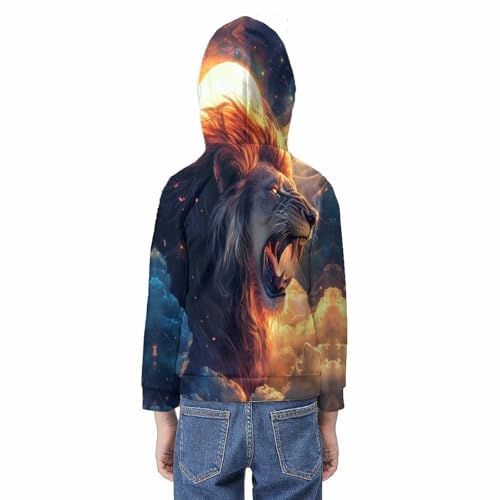Sweat à capuche lion garçon 9-11 ans pull imprimé 3D drôle - 6
