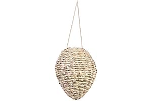 Evergreen Garden Wasp Nest Decoy: Ultimate Bumblebee Deterrent