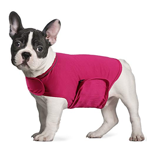 YUKOOL Anxiety Manteau pour chiens, utilisé pour une thérapie instantanée pour l'excitation en foudre et feux d'artifice pour garder un confort apaisant (taille S, rose rouge)