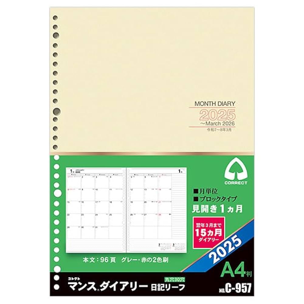 チール4 5 6 7 8 10 12 14 25 30巻 Amazon.co.jp: レイメイ藤井 手帳 システム手帳 リフィル 2025年