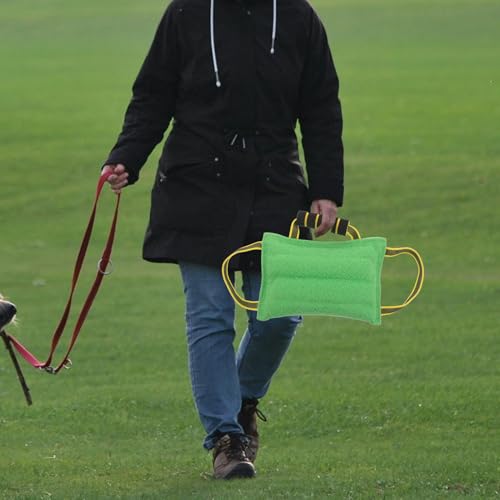 Almohada de mordida para perros Homoyoyo verde con asas 7