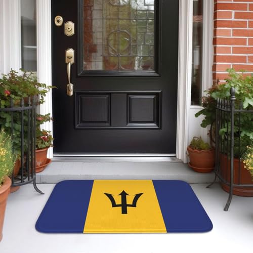 Tapis de sol antidérapant et résistant lavable 40 x 60 cm
