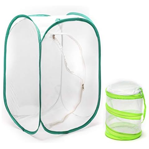 Rngeo Insect and Butterfly Habitat Cage, Terrarium with Pop-up Design, for Nature Observation, Butterflies and Insects Raising, etc. 24 Inches Tall, with A Mini Habitat Cage (Pack of 2) Cover