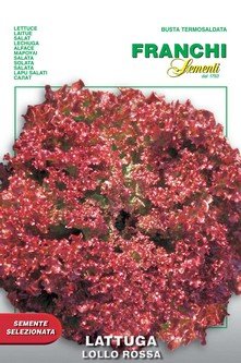 Italian Heirloom Lollo Rossa Lettuce Seeds