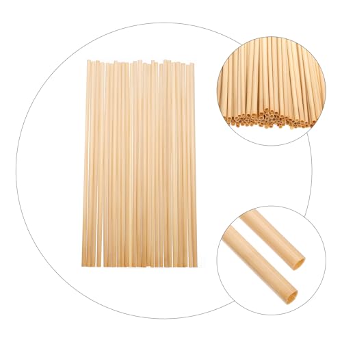 100 pitillos desechables de trigo biodegradables de 20 cm miniatura 7