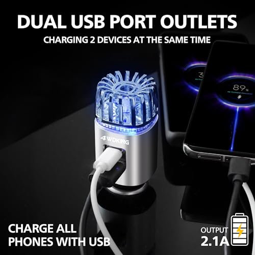 4WDKING Ionizer with Dual USB
