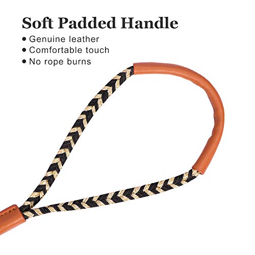 PetsHome Dog Leash, Pet Leash Strong Durable 6 FT Leash for Control Safety Training, Walking Lead for Small to Large Dogs Black