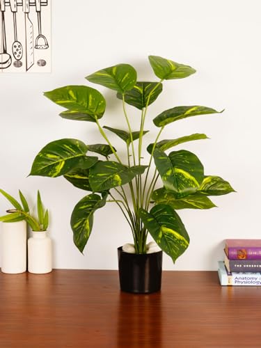 Image of ARICK Decor 2.1Ft Artificial Money Plant with 18 Leaves, 65cm Tall Faux Tropical Potted Tree in Black Pot, Realistic Large Silk Leaf Fake Plant for Living Room, Office & Home Decor