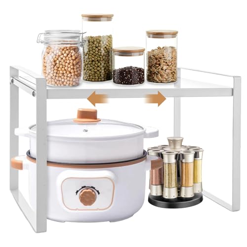 GBACHOOSE Étagère de Cuisine Extensible 35-65 cm, Plan de Travail pour Armoire à Épices, Solution de Rangement pour Salle de Bain