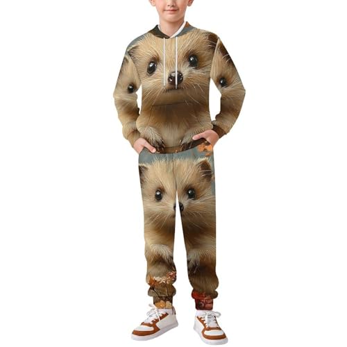 Boys Girls Sweatshirt Pullover Hoodie & Pants Kid Active Sweatsuit Tracksuit, Hedgehog Vintage