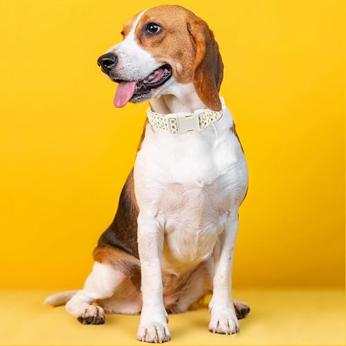 Collar para perro mediano Dayume de algodón ajustable miniatura 3