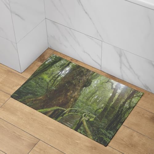 Tapis de porte automne CEVAN 50x80cm lavable pour entrée de maison
