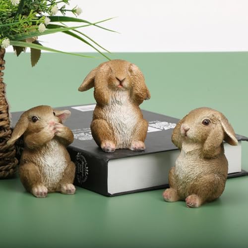 3ZbgETM u K[fjO ~j`A  e d̒̉ u   i  d̉ d̕ K[fjO Ő K^ }CNi ،i Ėn IuWF ~ Aؔ d̒  i K[f F