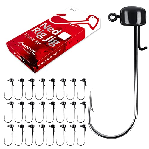 MadBite by KastKing Ned Rig Jig Heads for Soft Fishing Lures 24-Pack Finesse Standard Mushroom Stand-up Ned Heads Kit Needle Point Saltwater & Freshwater Versatility Ned Rig Hooks (Black 1/16 oz)