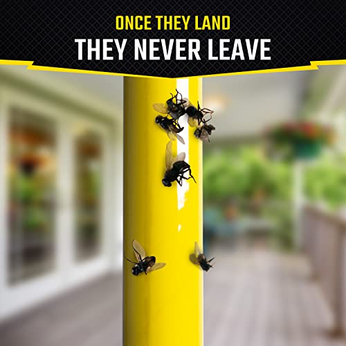 Black Flag 11015-1 Fly Stick, Trap Houseflies And Flying Insects thumb #5