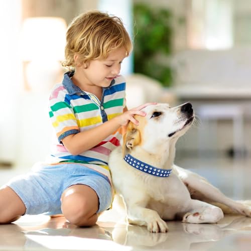 Collier en cuir clouté bleu foncé pour chien réglable taille M - 7