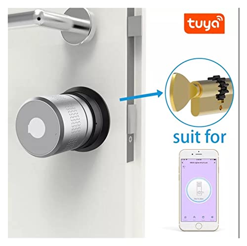 Serrure connectée Tuya avec cylindre de porte empreinte digitale Kit 3