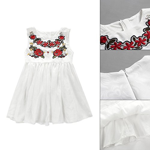 Diamondo Infantil Meninas Vestido de Véu Branco Diamante Floral Saia de Vestido de Princesa (Idade (