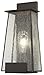 Minka Lavery Outdoor Wall Light 72601-226 Bistro Dawn Exterior Wall Lantern, 1-Light 100 Watts, Bronze