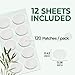 HA SHI Lobe Support Patches for Pierced Ears (120 Count) – Invisible Ear Lobe Tape to Prevent Stretching & Tearing | Hypoallergenic, Latex-Free
