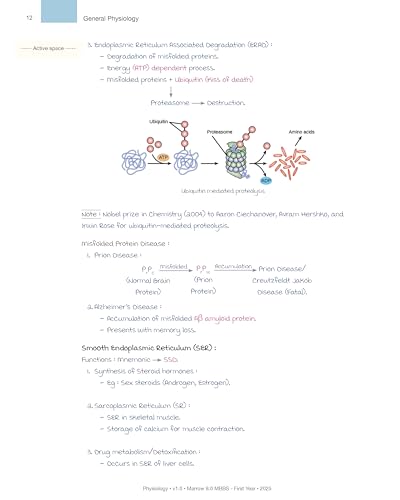 Image of Physiology M 8.0 - MBBS First Year Notes by Dr. Krishna Kumar | Updated Version 2025 /2026 | Fully Coloured,
