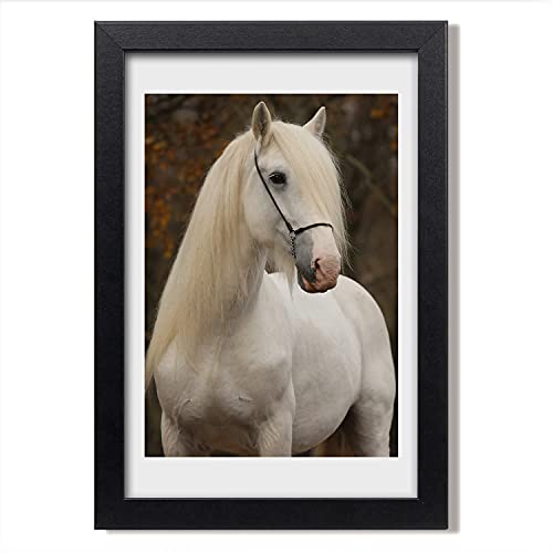Cadre MDF 20x30 cm Tulup avec affiche de cheval blanc pour décoration murale