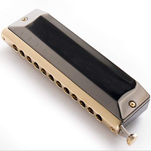 Harmonica 12 Hole 48 Tone Chromatic Harmonica for Children in C Key (Color : Black) (Black) - Les Beatles, Paul McCartney, John Lennon, RIngo Starr, George Harrison Harmonica 12 Hole 48 Tone Chromatic Harmonica for Children in C Key (Color : Black) (Black)