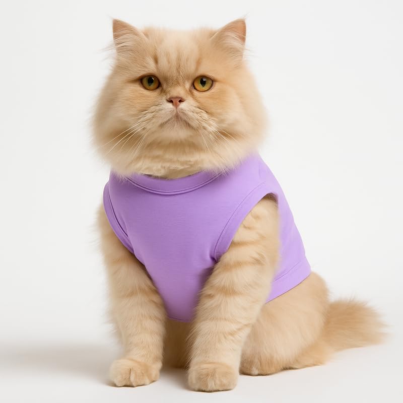 Image of Thunder Tails Printed Cat T Shirt for Cats and Kittens | Breathable Cotton Cat Clothes with Round Neck | Pet Dress for Small to Large Cats Apparel (Spoiled & I Know it, L)