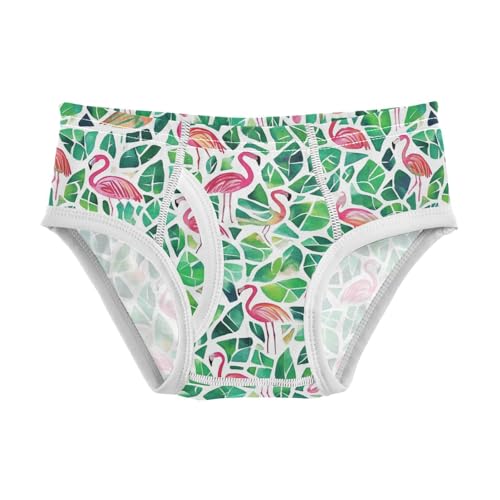 Wusikd Pink Flamingos Boys' Underwear Cotton Watercolor Boys Briefs Soft Toddler Underwear 2T