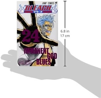 BLEACH 24 | 久保 帯人 |本 | 通販 | Amazon