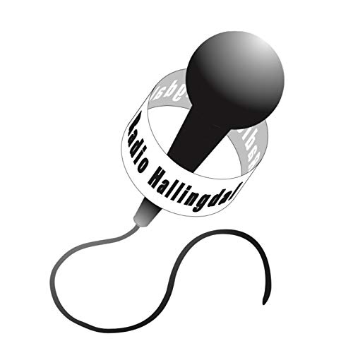 Couverture de HALLINGPORTRETTET