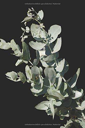 Pflanze - cooles Design, Blumen, Garten, Gärtnerei, Gärtnerin, Gärtner, Pflanzen, Bergsteigen, Bergsteiger, Pflanze, Baum, Wald, Wandern, Blume grüner ... Notizheft, 120 Seiten, liniert, 6x9