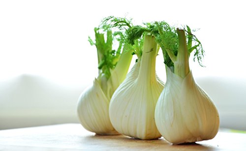 Fenchel frisch, 3 er Packung aus Italien