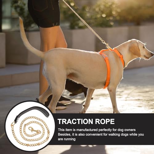 iplusmile Hundeleine Golden Metal, Goldenes Edelstahl Kettenhalsband, Goldkettenleine für große, Hunde Leine Chain mit Ledergriff Haustierleinenkette