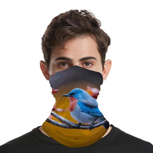 Cubrebocas tipo cuello transpirable a prueba de viento con diseño de bayas y pájaro azul, máscara facial, balaclava y banda para cabeza para hombres y mujeres miniatura 3