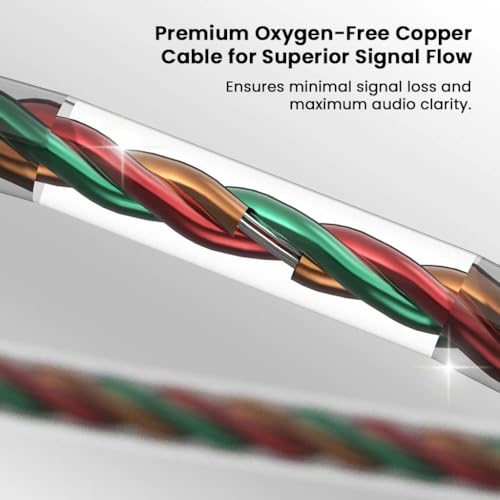 Image of AUDIOCULAR BR Pro IEM Wired Earphones, in Ear Monitor with Type-C Plug, 10mm Titanium Driver, HD Mic, Oxygen-Free Copper Cable, Noise-Isolating Eartips - for Android, Laptops, Tablets