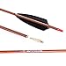 550 Spine Arrow 30 Inch Arrow Target Practice Arrow Hunting Arrow Carbon Arrows Compound Bow Recurve Bow Adult Youth Archery Indoor Outdoor Shooting Bullet Tip 6pc Wooden Wood-Like