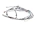 Bunn 36677.0016 Wiring Harness, Itcb 208V