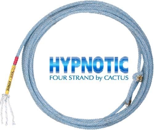 CACTUS ROPES Hypnotic 31' Head Rope, Blue, Nylon, Modern, Wakeboarding Rope