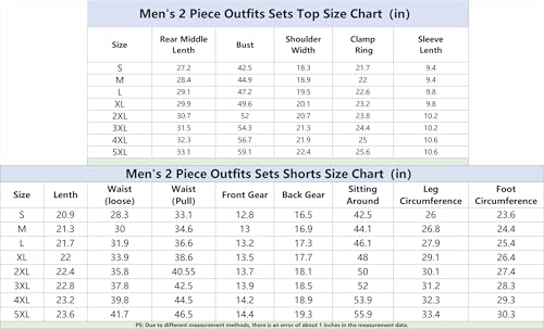 BIRW Mens Short Sets 2 Piece Outfits Polo Shirt Fashion Summer Tracksuits Casual Set Short Sleeve and Shorts Set for Men