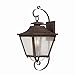 Acclaim 8712CP Lafayette Collection 2-Light Wall Mount Outdoor Light Fixture, Copper Patina