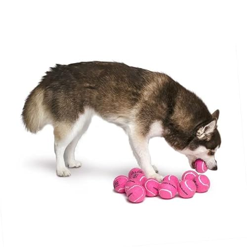 Midlee Happy Birthday Dog Tennis Balls (12 Pack) (Small, Pink) #TOP1