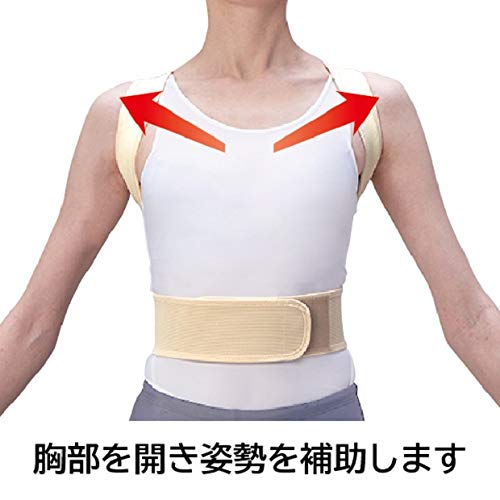 Nakayama formula spine medicine Force belt mesh M