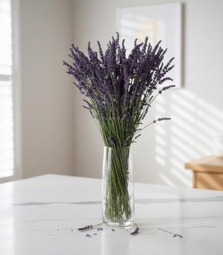 Flores de Lavanda Secas (2 Ramilletes) para Decoración y Artes
